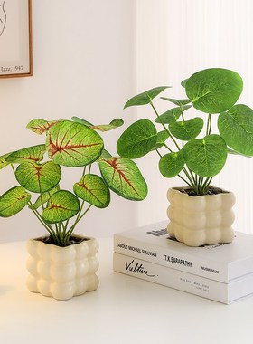 桌面仿真绿植室内办公桌工位植物盆栽造景装饰摆件绿萝家居装饰品