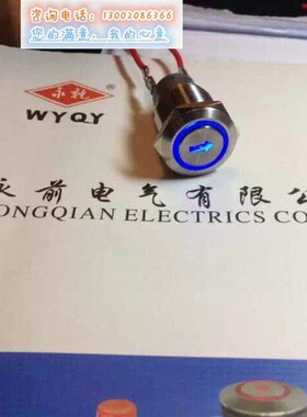 19MM 带特殊电源标志 按钮 带灯自锁 /复位防爆防水 按钮开关改装