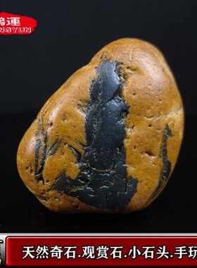 天然小石头玉石盆景石鱼缸石头玉石观赏石把玩石龟晒石小孤品