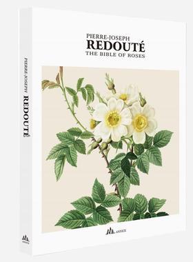 样板间装饰画册艺术真书客厅售楼处展厅摆件拍照摄影客厅茶几摆件