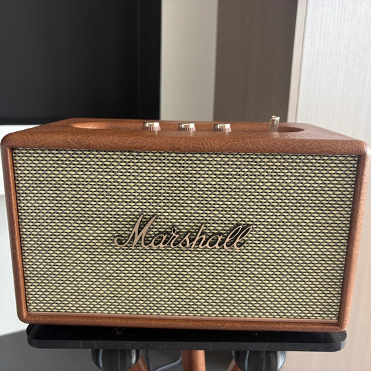 Plug-in Bluetooth outdoor speaker for household use