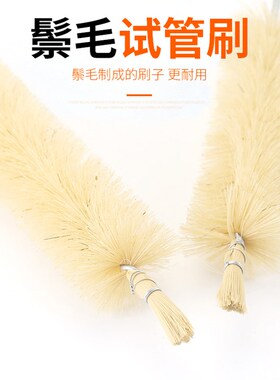 试管刷实验室尼龙管道清洁刷软毛洗瓶刷烧杯刷量筒刷圆形酒瓶刷子