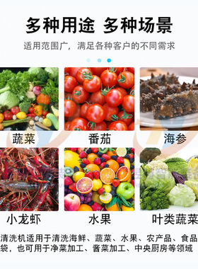 全自动商用果蔬清洗机多功能水果气泡清洗机鱼腥草龙须菜清洗机