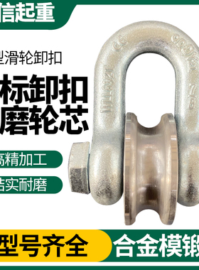 船用起重滑轮卸扣式滑车吊轮重型滚轮带轴承款钢丝绳吊环滑轮3T5T