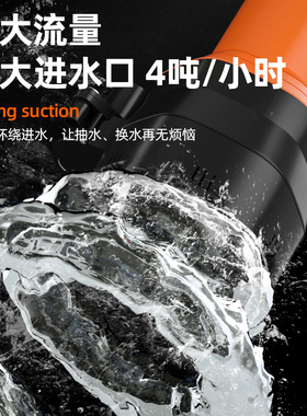 水泵抽水泵小型直流户外家用农用灌溉电瓶车电动车24V通用潜水泵