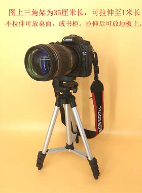 新款单眼相机模型机身+镜头一套 别墅样板间展示摆件摄影道具逼真