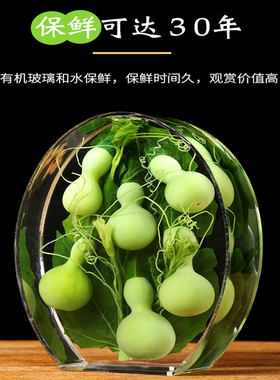办公室玄关平安福天然绿色保鲜葫芦瓶家居礼品工艺术品凤梨