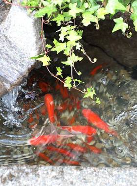 新中式庭院流水摆入户花池园件景观饰WDZ鱼装缸阳台鱼假山造景喷