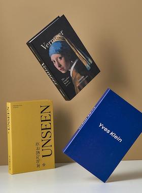 北欧轻奢风装饰书仿真书摆件现代简约酒柜书房办公室书柜桌面假书