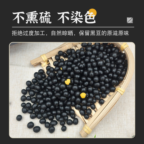 穗田几亩东北农家新货黄芯小黑豆非转基因打豆浆生豆芽粗粮杂粮 - 图1