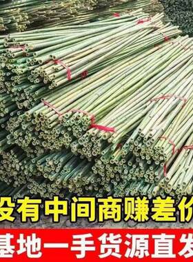 竹竿菜园搭架竹子户外旗杆黄瓜豆角爬藤菜架竹杆支架豇豆搭架杆
