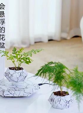 反重力磁悬浮花盆植物办公室桌面装饰轻奢盆栽黑科技家居盆景摆件