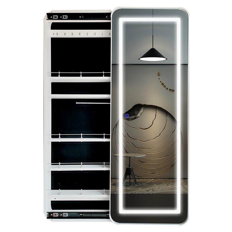 镜全身卧室女生贴墙储物一体镜子推拉壁挂网红智能收纳试衣穿衣镜,淘宝优惠券,粉丝福利购,淘宝优惠卷