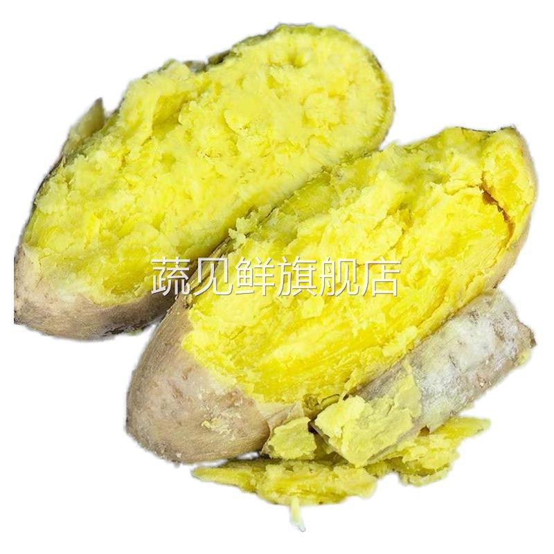 Guangdong chestnut sweet potato Chaoshan freshly dug white skin yellow heart chestnut potato sweet and soft glutinous farmhouse sand egg sweet potato melon