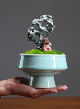 中式永生苔藓微景观盆景摆件餐桌花酒店茶室家居摆设客厅玄关装饰