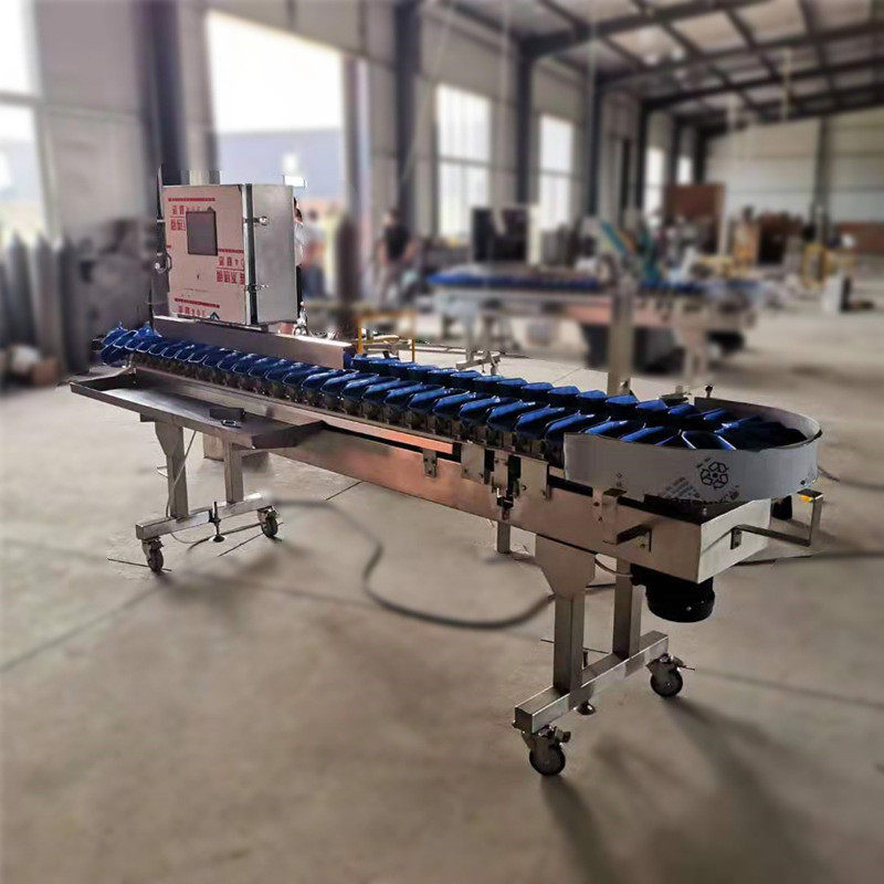 整鸡鸭自动称重分选机 鸡爪翅中称重分装机 海参海蛎子重量分拣机,淘宝优惠券,粉丝福利购,淘宝优惠卷