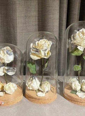 软木塞永生花玻璃罩透明展示盒人偶圣诞树积木手模摆件手办防尘罩