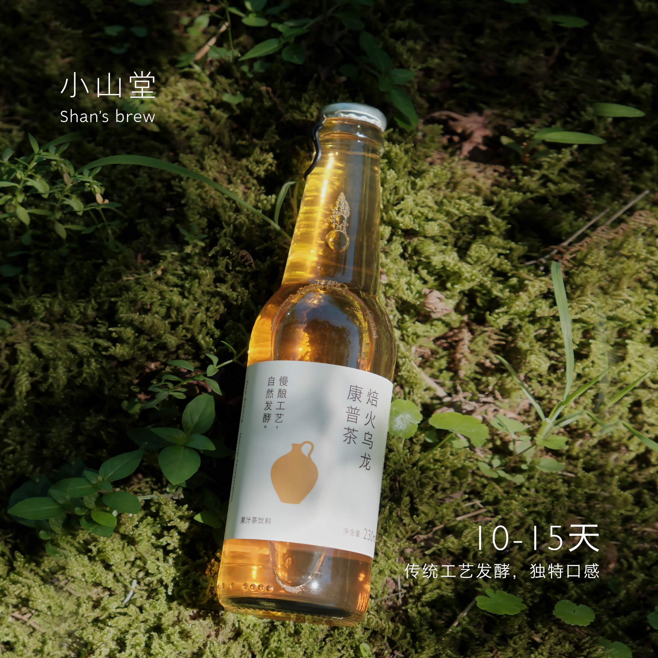 小山堂康普茶气泡水碳酸饮料230ml*6瓶 青提果汁健康饮品发酵液