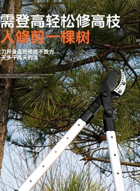 粗枝剪大力伸缩绿化园林修枝剪刀果树修枝剪加长SK5园林剪果枝剪