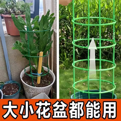 花架子室内家用支架通用型蟹爪兰花架莲花护叶架园艺盆栽支撑杆 - 图1