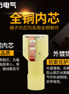 冷压端子套装绝缘端子插簧端子管型端子接线柱线接线端子公母对插