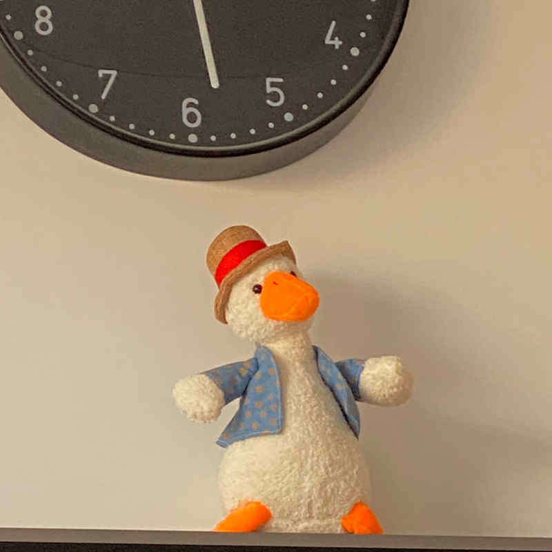 鸭子公仔网红小黄鸭丑萌玩偶加油复读鸭毛绒玩具布娃娃生日礼物 - 图2