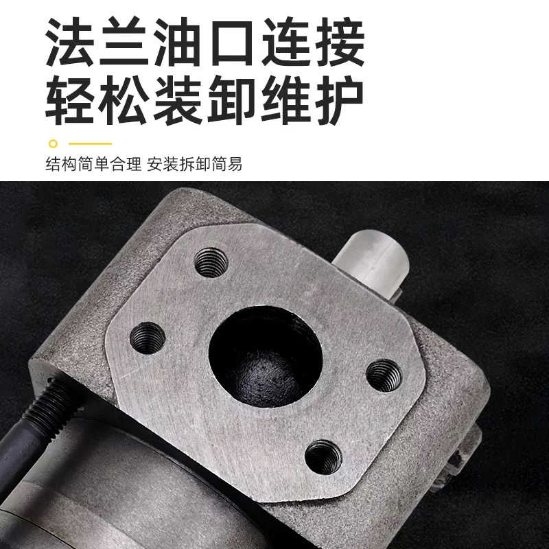 上海航发齿轮泵NBZ2-G10F G12F G16F NBZ3-G20F G25F G32F NBZ4 - 图0