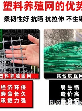 塑料围网养殖防护拦鸡鸭胶网家用菜园玉米护栏栅栏户外养鸡围栏网