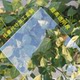 Transparent acrylic sheet custom processing plexiglass sheet material that can be bent and engraved by hand
