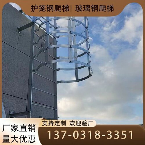 碳钢爬梯安全通道上下梯应急口爬梯护笼爬梯施工钢爬梯消防爬梯件 - 图2