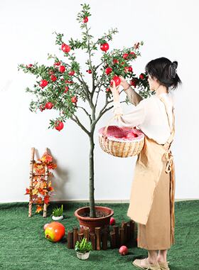仿真石榴树假橘子树桔子模型商场酒店超市装饰摆件水果树植物绿植