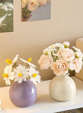 入户玄关摆件迷你陶瓷花瓶高级感水培办公桌客厅茶几餐桌插花摆件