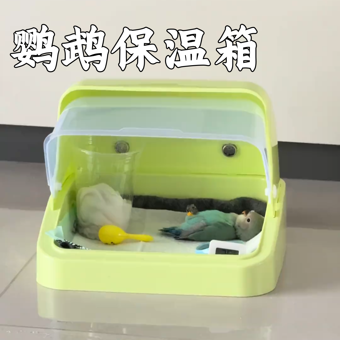 鹦鹉保温箱鹦鹉育雏箱手养鹦鹉保温箱幼鸟饲养箱幼鸟保温盒保暖箱,淘宝优惠券,粉丝福利购,淘宝优惠卷