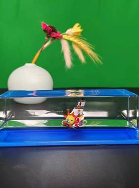 泰坦尼克号黑珍珠游轮流体漂流瓶邮轮永不翻船漂流瓶桌面小摆件