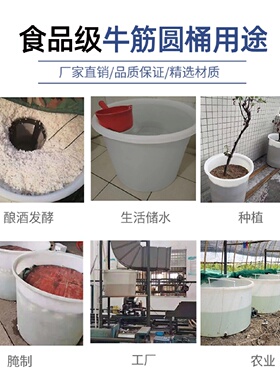 加厚牛筋塑料圆桶大号耐用叉车塑料桶工业水桶酿酒发酵储水桶胶箱