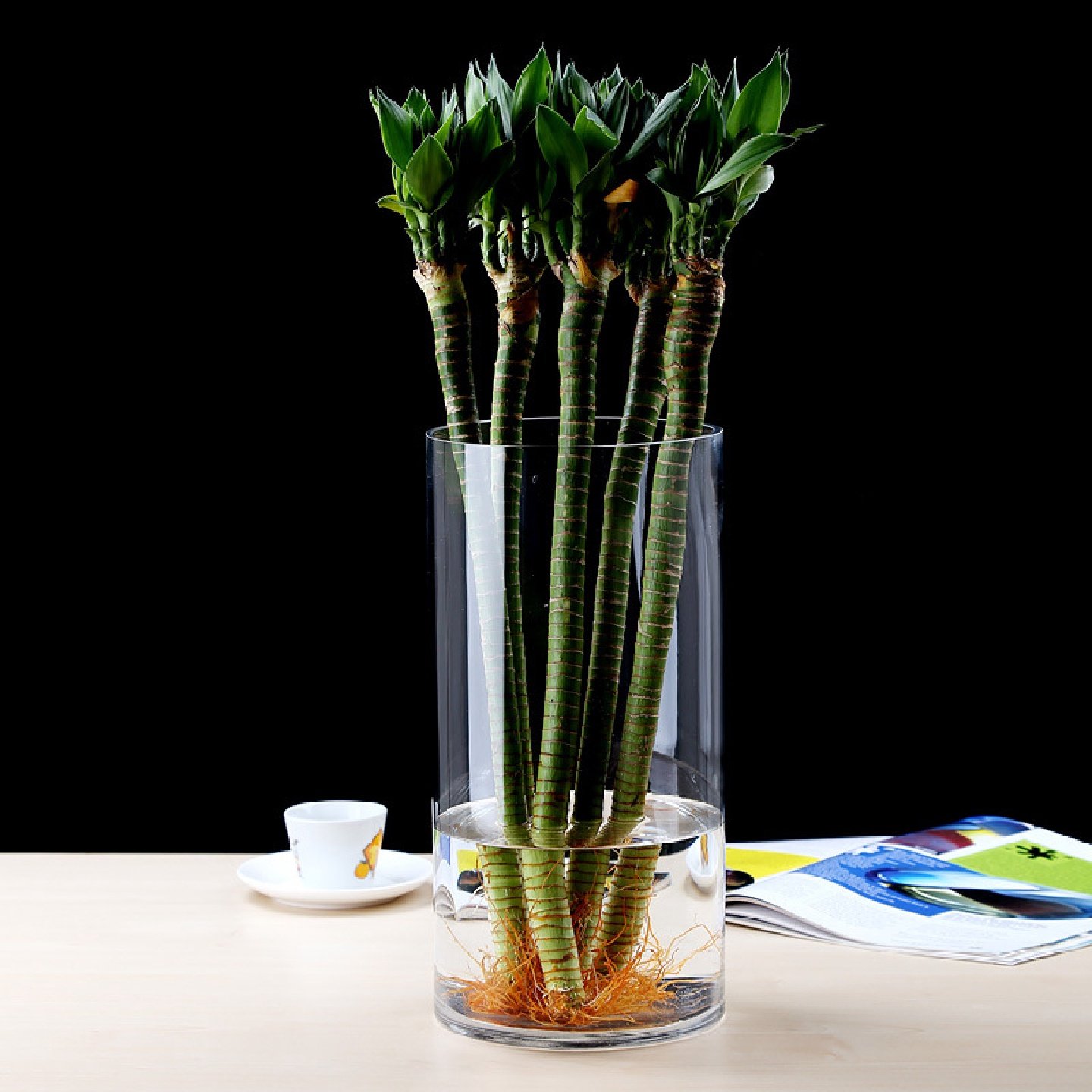 富贵竹花瓶玻璃透明特大号落地直筒花瓶圆形鱼缸酒店家居插花装饰,淘宝优惠券,粉丝福利购,淘宝优惠卷