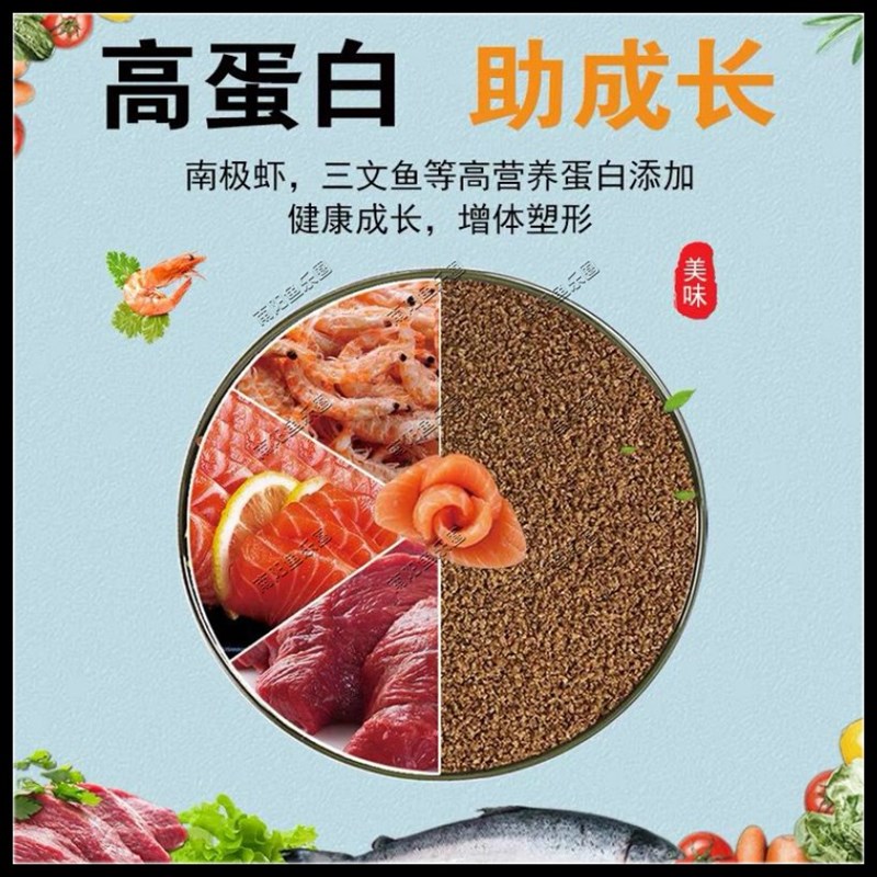 七彩神仙燕鱼金波子迷你鹦鹉孔雀鱼繁殖金鱼开口专用高蛋白饲料 - 图1