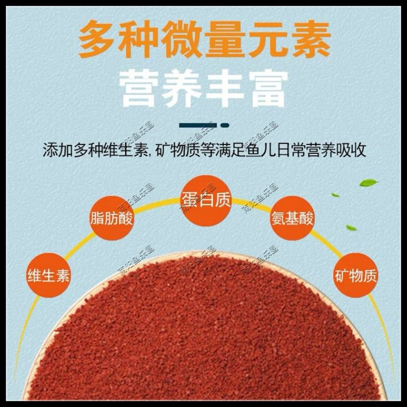 七彩神仙燕鱼金波子迷你鹦鹉孔雀鱼繁殖金鱼开口专用高蛋白饲料 - 图3