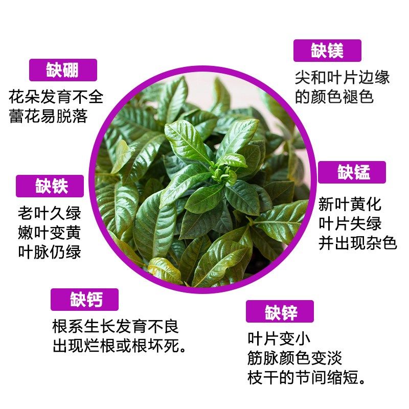 中微量元素水溶肥料硫钙镁硼锌铁植物花卉叶面肥果树蔬菜通用肥,淘宝优惠券,粉丝福利购,淘宝优惠卷