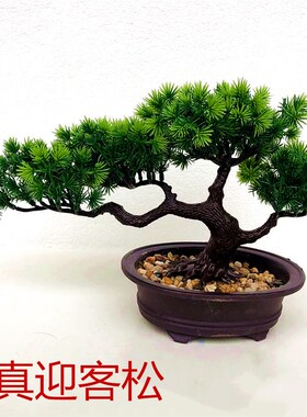 迎客松盆景仿真仿真客厅玄饰假松树罗汉松美松新