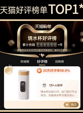 式电热烧水杯旅行迷你小型保温恒温一体水杯外出冲奶调奶器