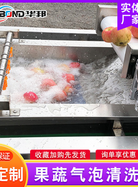厂家供应叶类蔬菜清洗机气泡网带式清洗机果蔬高压清洗机