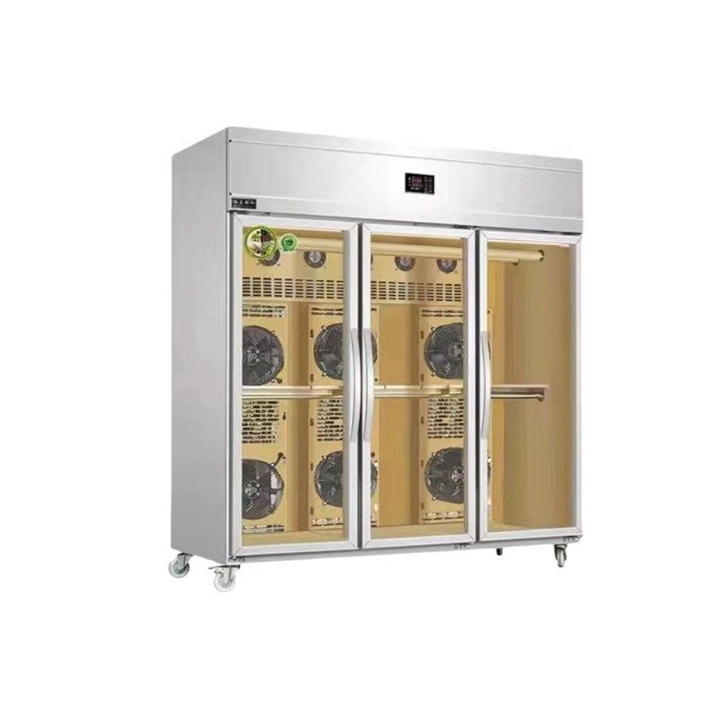 佰友晾鸭柜晾g胚柜新型烤鸭风干机烧腊风干柜烧鹅烤鸡脆皮箱豪华,淘宝优惠券,粉丝福利购,淘宝优惠卷