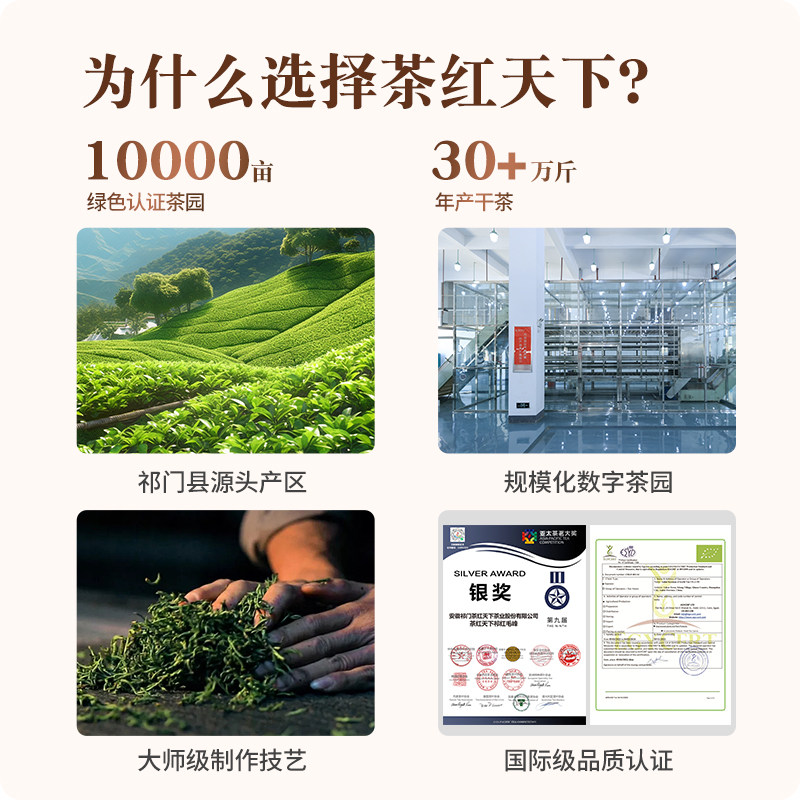 茶红天下祁门红茶正宗黄山祁红毛峰香螺甜香蜜香浓香一级口粮春茶,淘宝优惠券,粉丝福利购,淘宝优惠卷