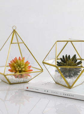 北欧装饰几何玻璃罩花房摆件客厅陈列家居服装店咖啡厅工艺品