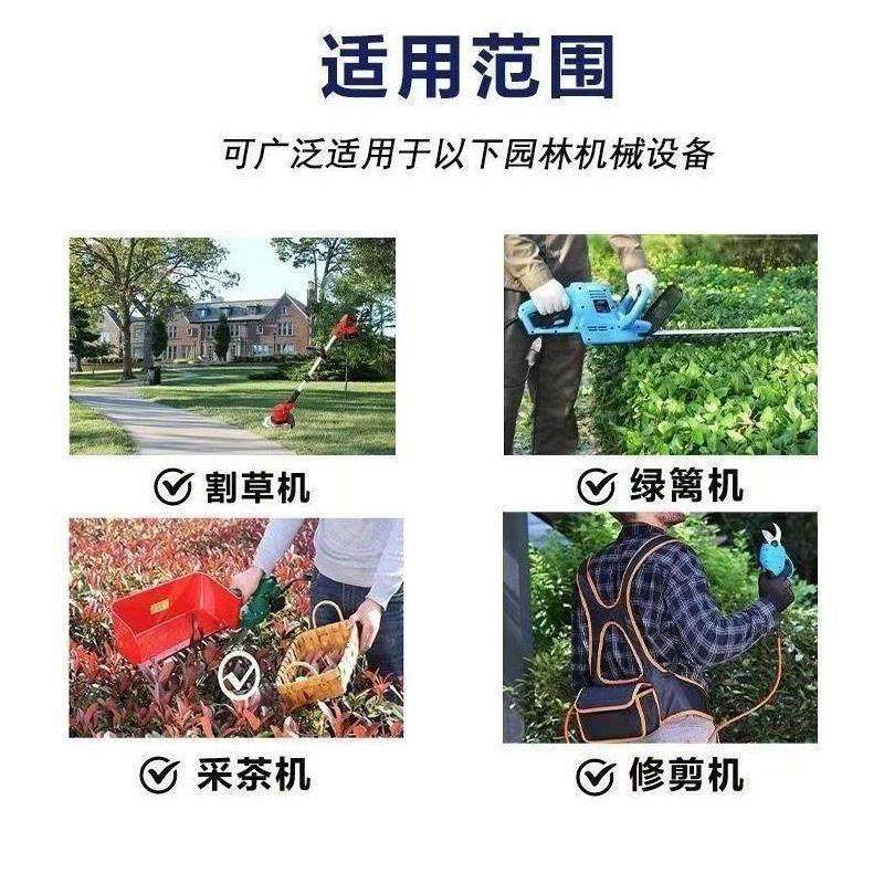 24V48V60V锂电池割草机绿篱机采茶机水泵电锯园林工具背负式电瓶,淘宝优惠券,粉丝福利购,淘宝优惠卷
