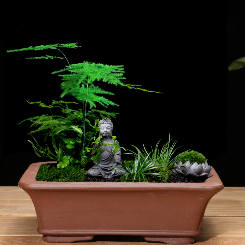 盆景盆 紫砂花盆 树桩盆景盆大中小陶瓷个性桌面绿植盆栽花盆 - 图1