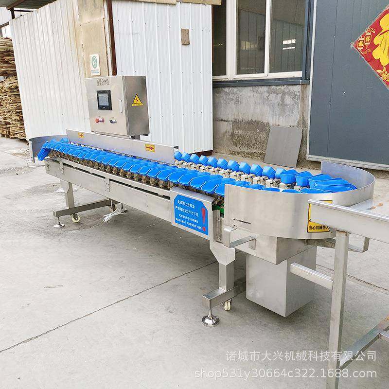 鸡爪龙虾称重分级机 料盒式生蚝称重分选设备 杨梅葡萄果蔬筛选机,淘宝优惠券,粉丝福利购,淘宝优惠卷