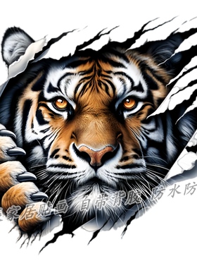 霸气老虎贴纸车身贴3d视觉