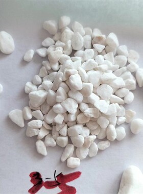 销售白色石子工程铺路砾石庭院铺路盆栽铺面鹅卵石雨花石
